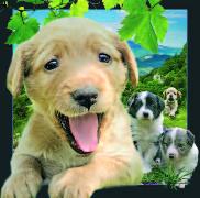 00035, 3D Postcard: Hund / Dog