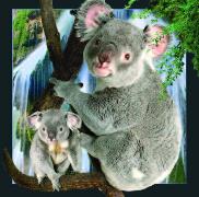 00012, 3D Postcard: Koala / Koala