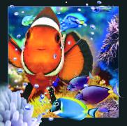 00001, 3D Postcard: Clownfisch / Clownfish