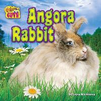 Angora Rabbit