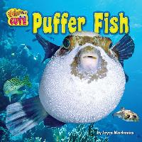 Puffer Fish