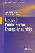 Essays in Public Sector Entrepreneurship