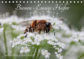Bienen - Emsige Helfer (Tischkalender immerwährend DIN A5 quer)