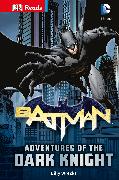 DC Comics Batman Adventures of the Dark Knight