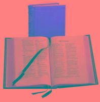 Lectern Bible-REB-Apocrypha