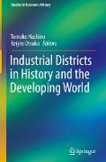 Industrial Districts in History and the Developing World