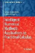 Intelligent Numerical Methods: Applications to Fractional Calculus