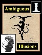 Ambiguous Illusions