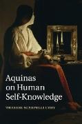 Aquinas on Human Self-Knowledge