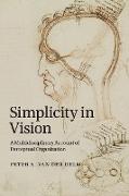 Simplicity in Vision