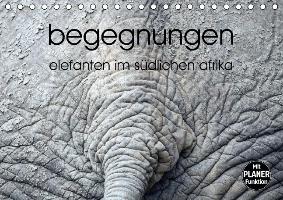 begegnungen - elefanten im südlichen afrika (Tischkalender immerwährend DIN A5 quer)