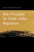 Risk Principles for Public Utility Regulators