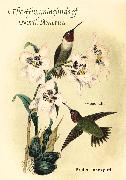 The Hummingbirds of North America, Second Edition