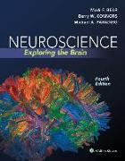 Neuroscience: Exploring the Brain