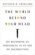 The World Beyond Your Head