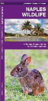 Naples Wildlife: A Folding Pocket Guide to Familiar Species