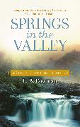 Springs in the Valley