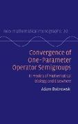 Convergence of One-parameter Operator Semigroups