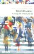 Capital social : enfoques alternativos