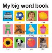 My Big Word Book