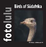 Birds of Südafrika