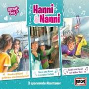 Hanni und Nanni Box 11: Rätselbox