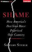 Shame: How America's Past Sins Have Polarized Our Country