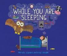 WHILE YOU ARE SLEEPING