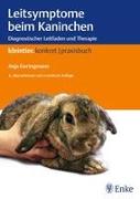 Leitsymptome beim Kaninchen