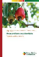 Anacardium occidentale