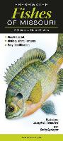 Freshwater Fishes of Missouri