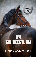 Im Schneesturm