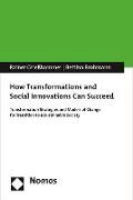 How Transformations and Social Innovations Can Succeed