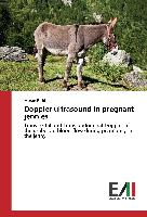 Doppler ultrasound in pregnant jennies