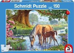 Pferde am Bach. Puzzle 150 Teile