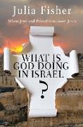 What Is God Doing in Israel?: When Jews and Palestinians Meet Jesus