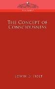 The Concept of Consciousness