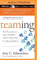 Teaming: How Organizations Learn, Innovate, and Compete in the Knowledge Economy