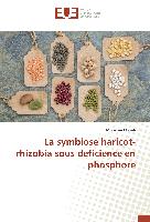 La symbiose haricot-rhizobia sous déficience en phosphore