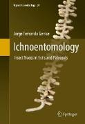 Ichnoentomology