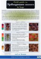 Field Guide to Sphagnum Mosses in Bogs