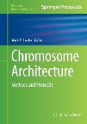 Chromosome Architecture