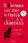 Mi hermana vive sobre la repisa de la chimenea