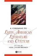 A Companion to Latin American Literature and Culture