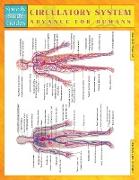 Circulatory System Advanced for Humans (Speedy Study Guides)