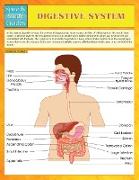 Digestive System (Speedy Study Guides)