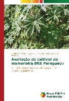 Avaliação da cultivar de mamoneira BRS Paraguaçu