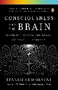 Consciousness and the Brain