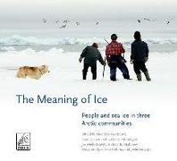 The Meaning of Ice