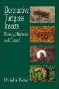 Destructive Turfgrass Insects